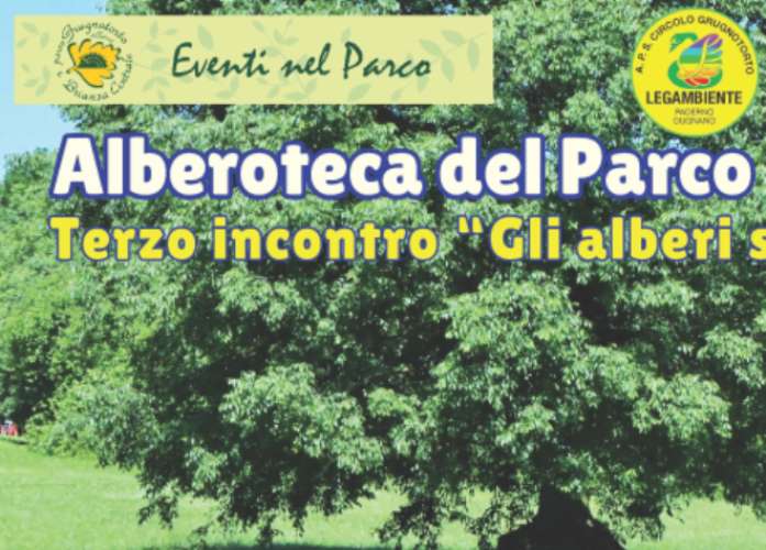 Immagine che raffigura Alberoteca del Parco Lago Nord