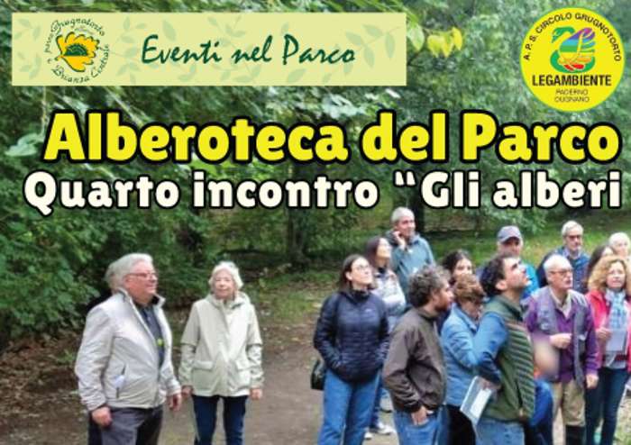 Immagine che raffigura Alberoteca del Parco Lago Nord