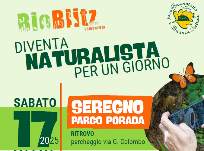 Immagine che raffigura Parco GruBrìa: BioBlitz Lombardia 2025