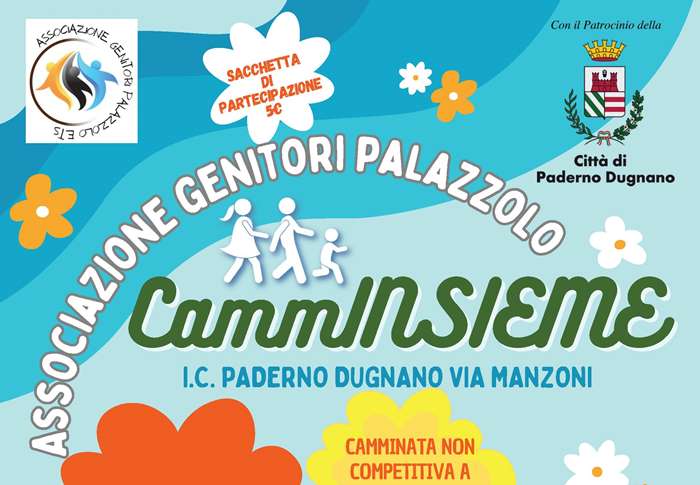 Immagine che raffigura CammINSIEME