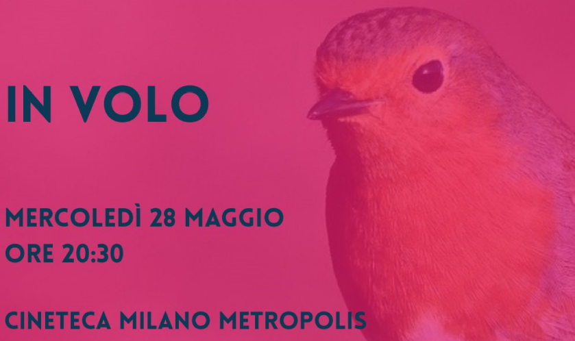 Immagine che raffigura In volo