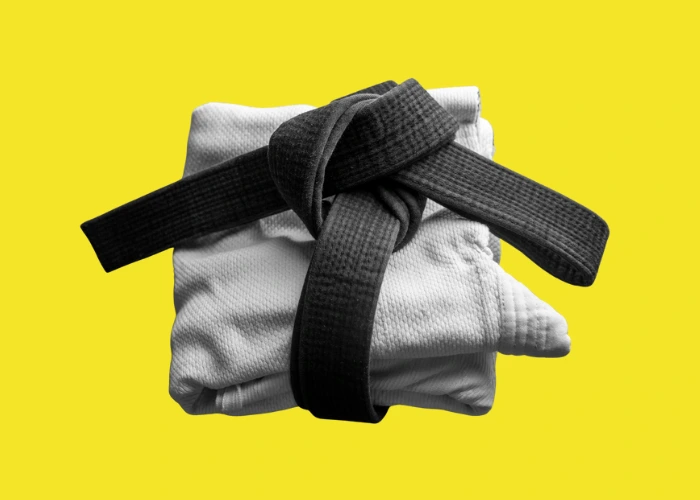 Immagine che raffigura Judo per tutti