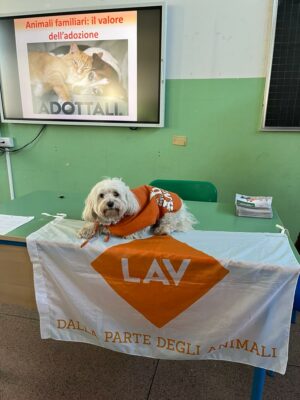 Immagine che raffigura Animali d'affezione: il valore dell'adozione