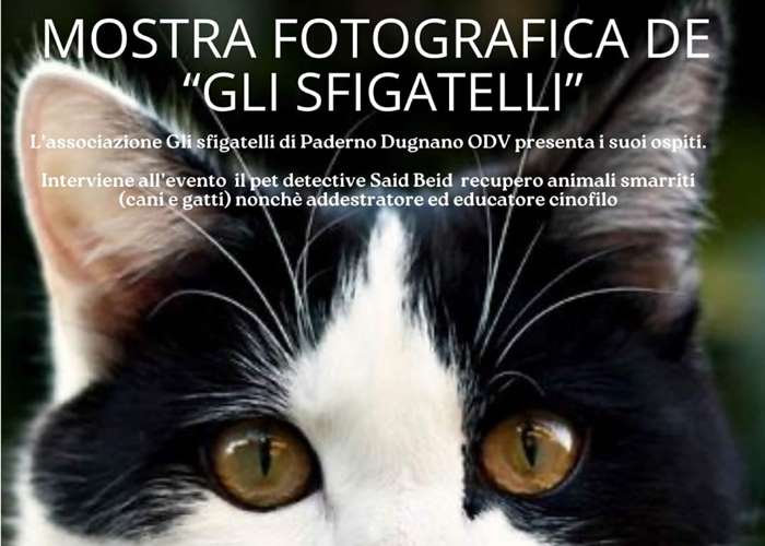 Immagine che raffigura Mostra fotografica de 