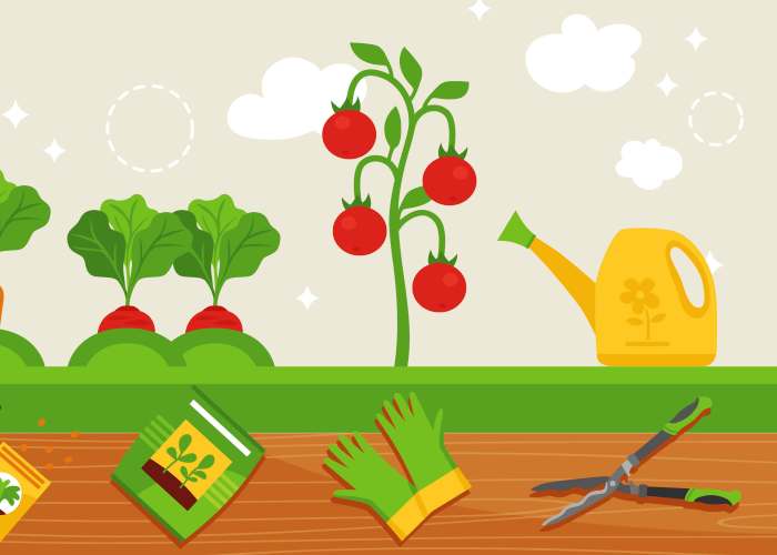 Immagine che raffigura Orti urbani