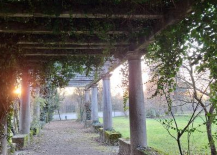 Immagine che raffigura Festa del Parco Borghetto