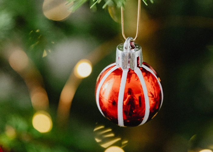 Immagine che raffigura Concerto 