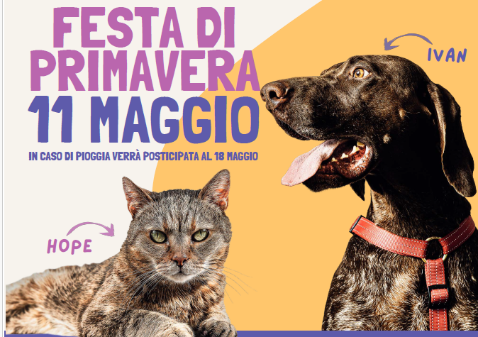 Immagine che raffigura Festa di Primavera