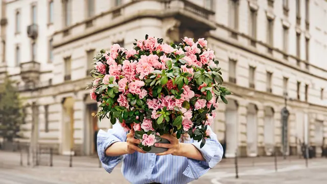 Immagine che raffigura L'Azalea della Ricerca