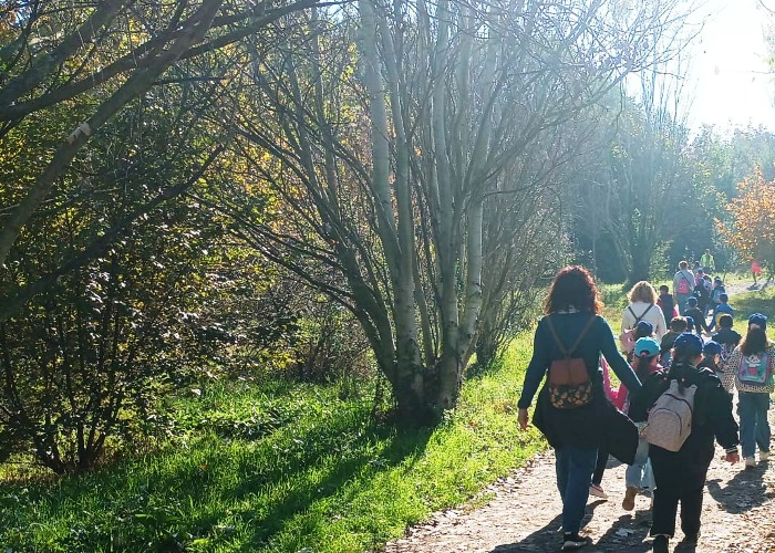 Immagine che raffigura Cammina Foreste Urbane 2025