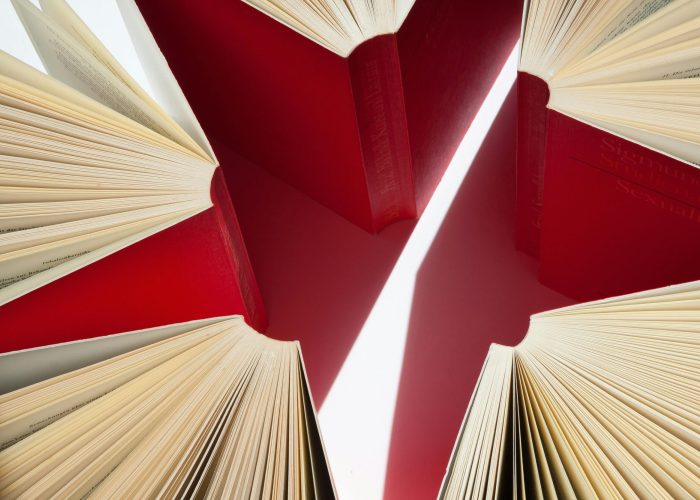 Immagine che raffigura Carta della Cultura