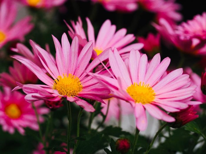 Immagine che raffigura Togliti i sandali