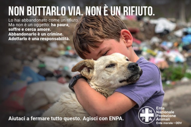 Immagine che raffigura Campagna antiabbandono 2025